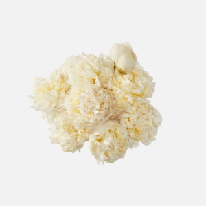 product_floral_1a