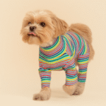 Fabulous Onesie