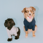 Little Beast Hoodie - Navy