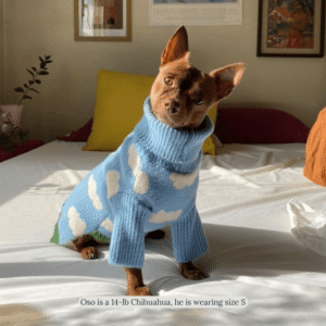 product_pet_clothes_7c